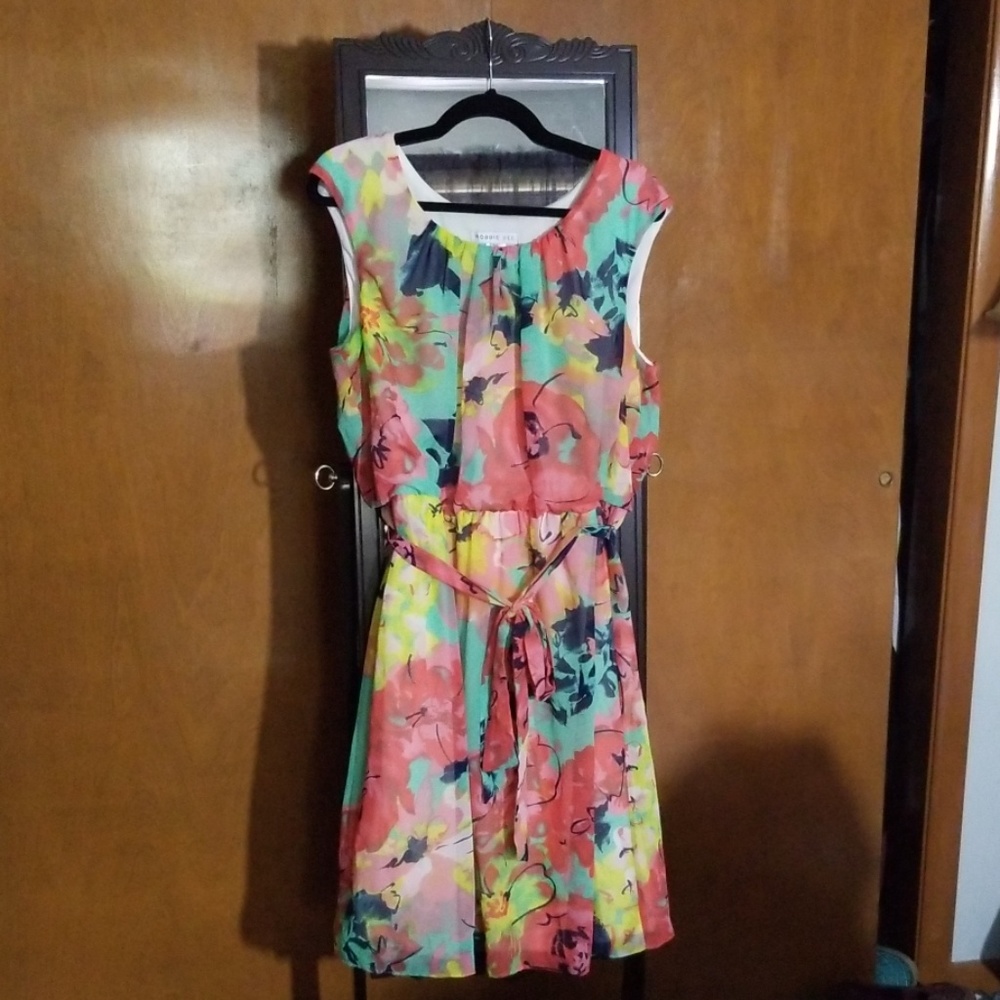Robbie bee dress